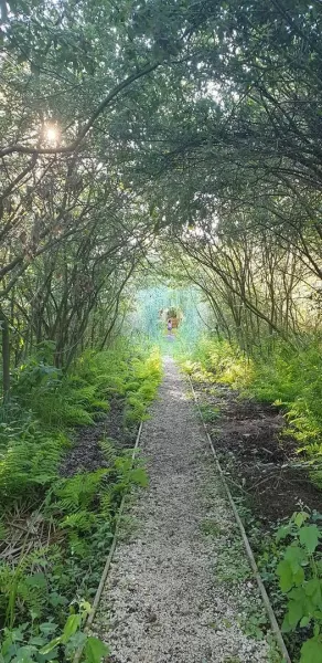 23153964346259621540808113684336288993838372n