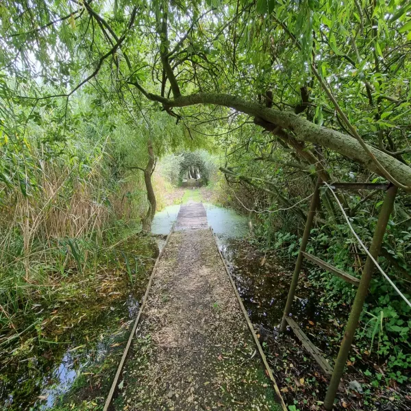 IMG20230823201531213