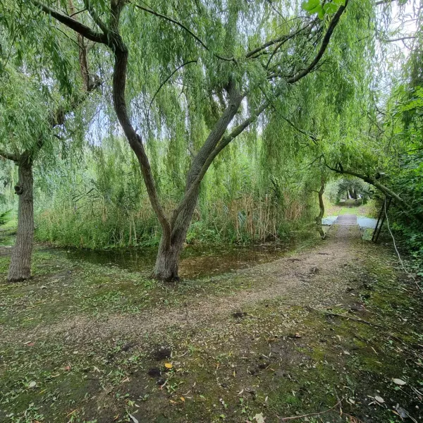 IMG20230823201531750